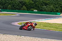 Pink_Advanced_Group_2_Wednesday